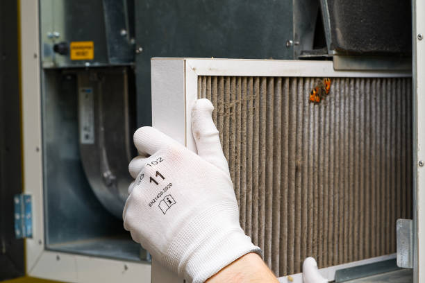 Best Local Air Duct Cleaning Services  in Linthicum, MD